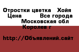 Отростки цветка  “Хойя“ › Цена ­ 300 - Все города  »    . Московская обл.,Королев г.